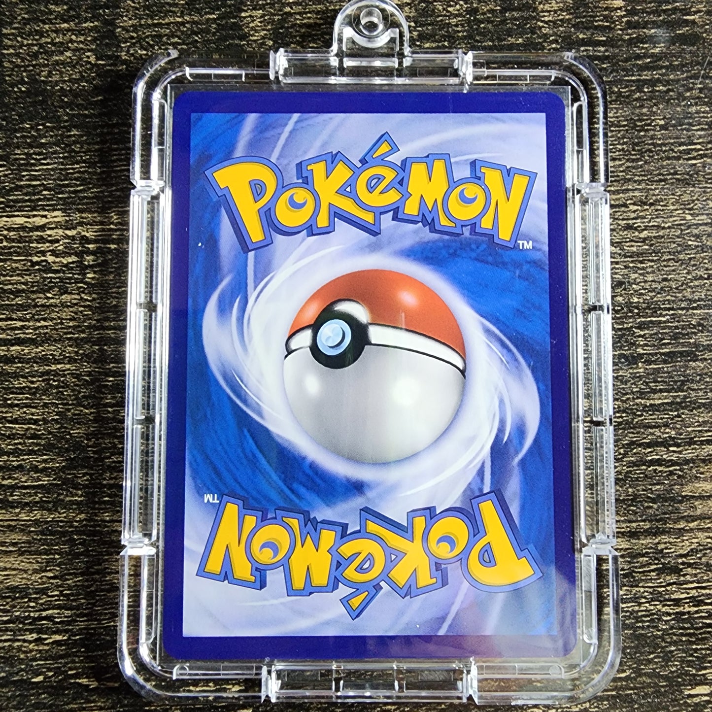 Mightyena 009/012 Simplified Chinese